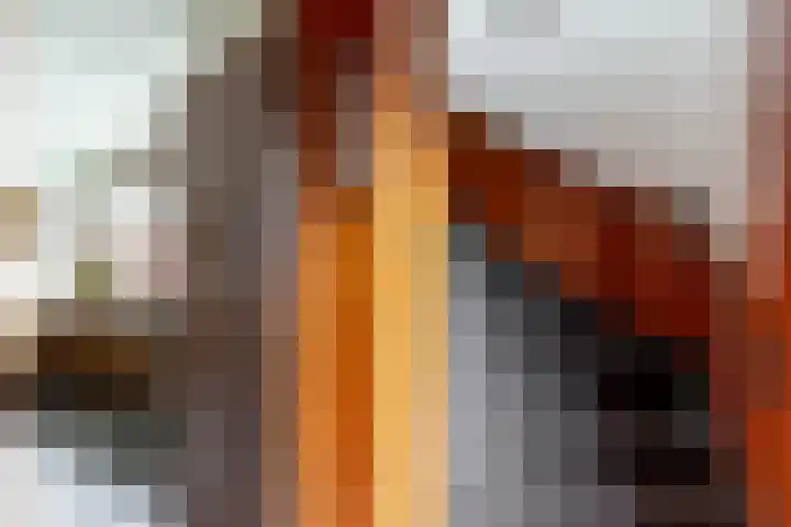 Kerkakkerstraat 52 Rijsbergen thumbnail 9