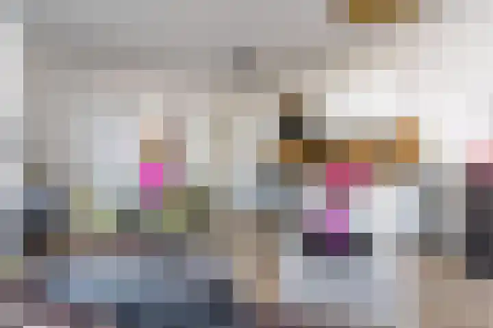 Kerkakkerstraat 55 Eindhoven thumbnail 5