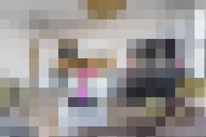 Kerkakkerstraat 55 Eindhoven thumbnail 7