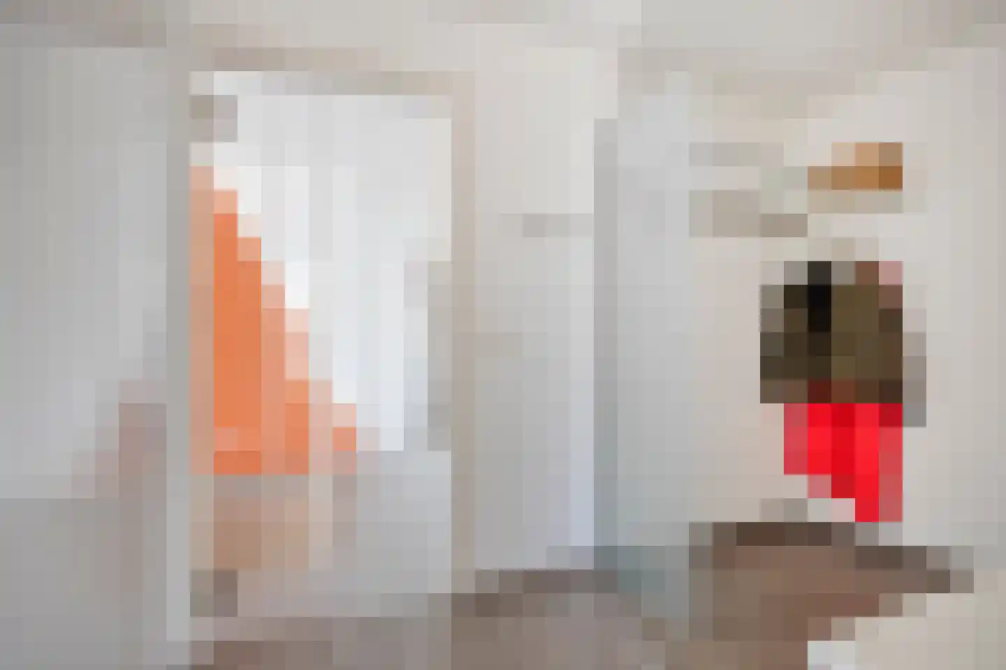 Kerkakkerstraat 56 Valkenswaard thumbnail 8