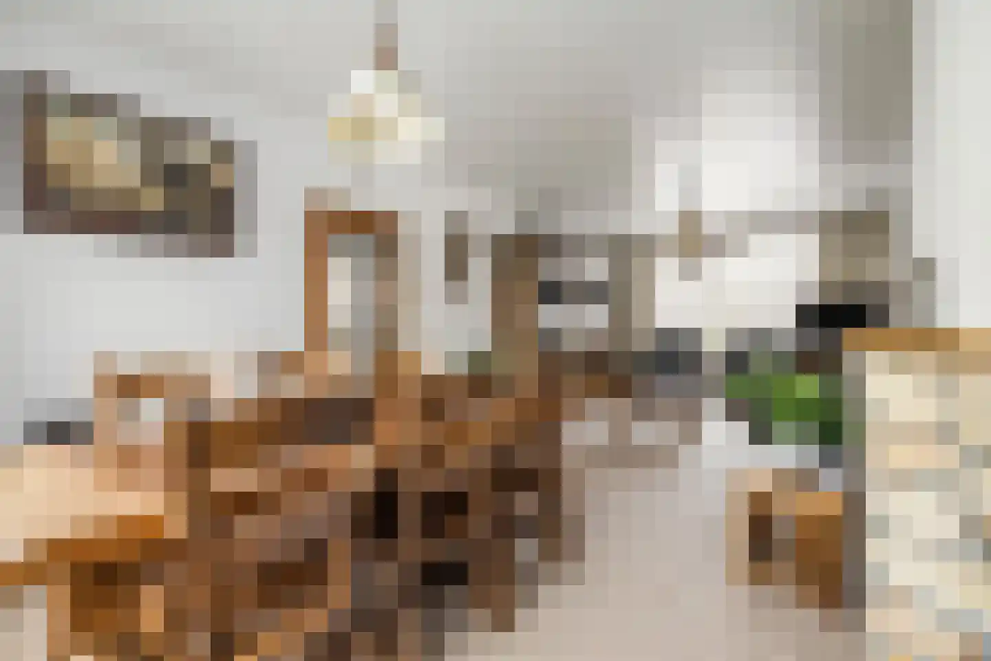 Kerkakkerstraat 58 Rijsbergen thumbnail 11