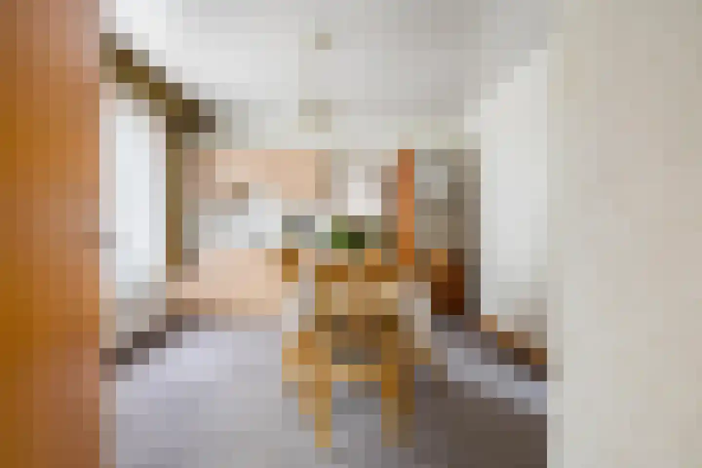 Kerkakkerstraat 58 Rijsbergen thumbnail 12