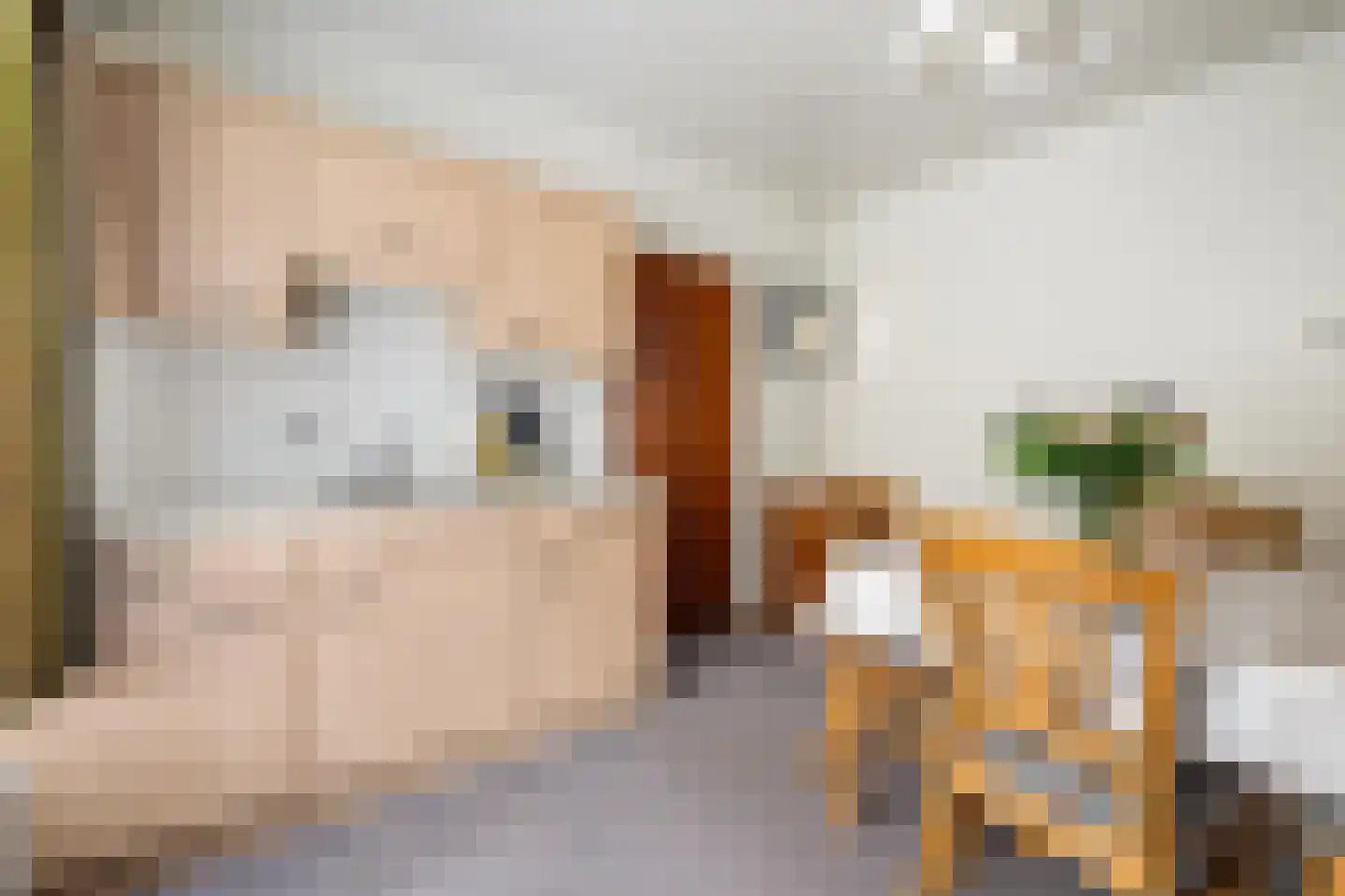 Kerkakkerstraat 58 Rijsbergen thumbnail 14