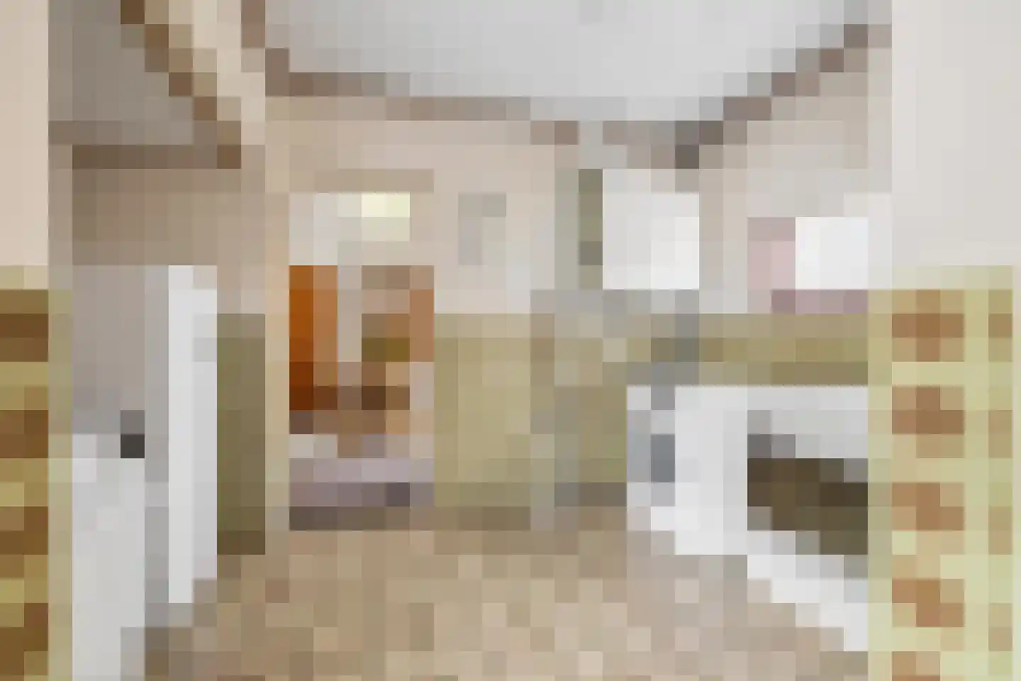 Kerkakkerstraat 58 Rijsbergen thumbnail 17