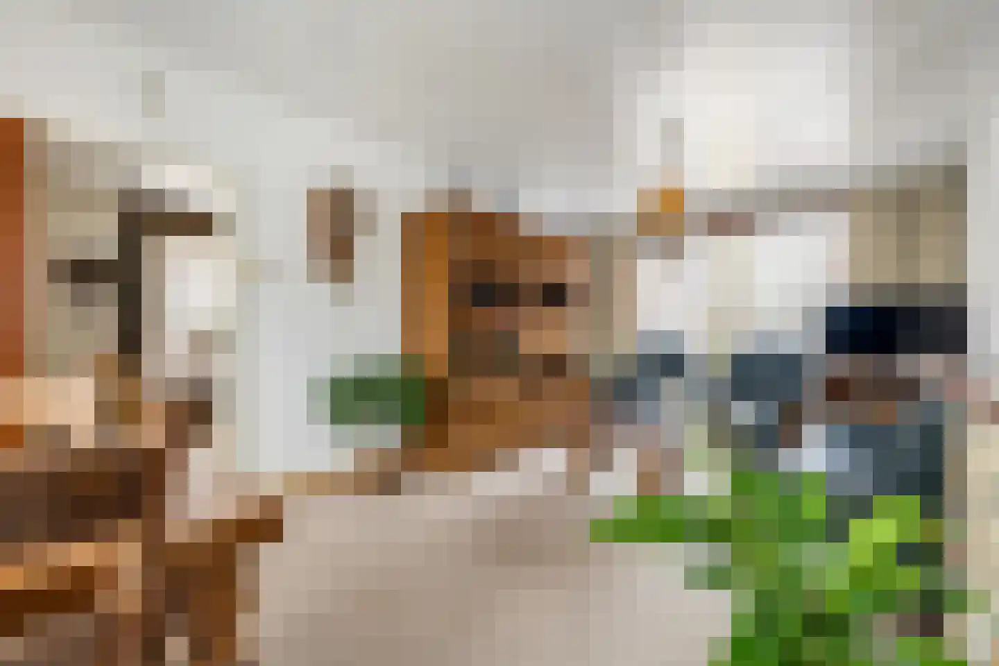 Kerkakkerstraat 58 Rijsbergen thumbnail 9