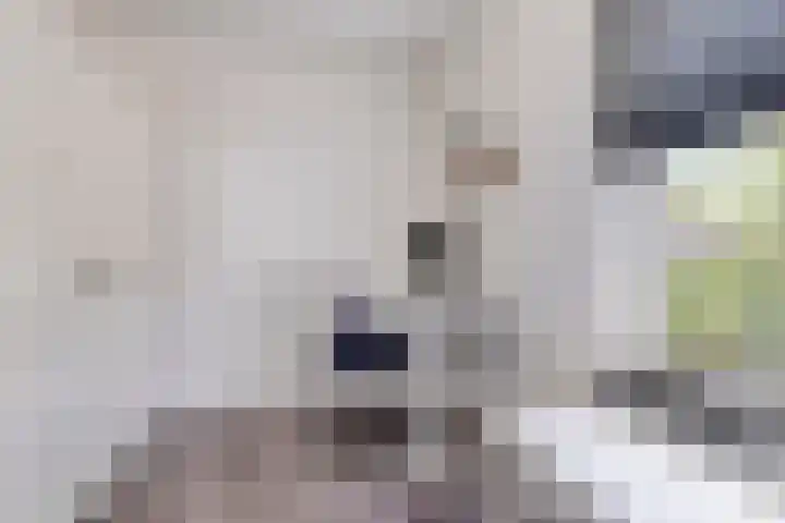 Kerkakkerstraat 7 Rijsbergen thumbnail 17