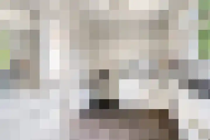 Kerkakkerstraat 7 Rijsbergen thumbnail 21
