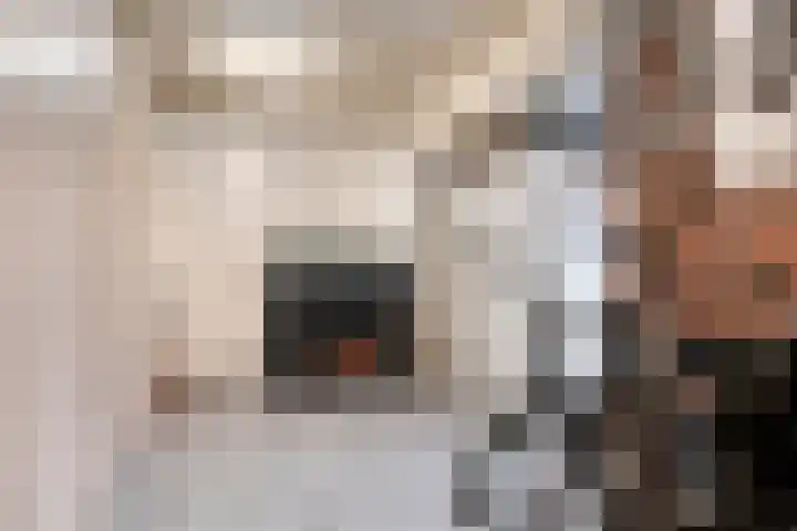 Kerkakkerstraat 7 Rijsbergen thumbnail 22