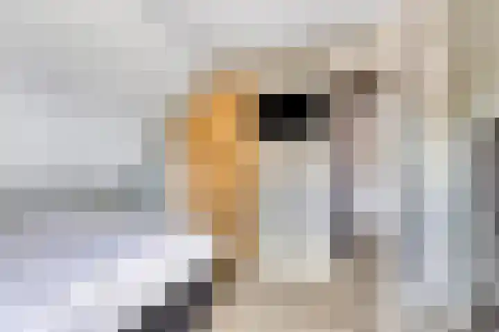 Kerkakkerstraat 7 Rijsbergen thumbnail 25