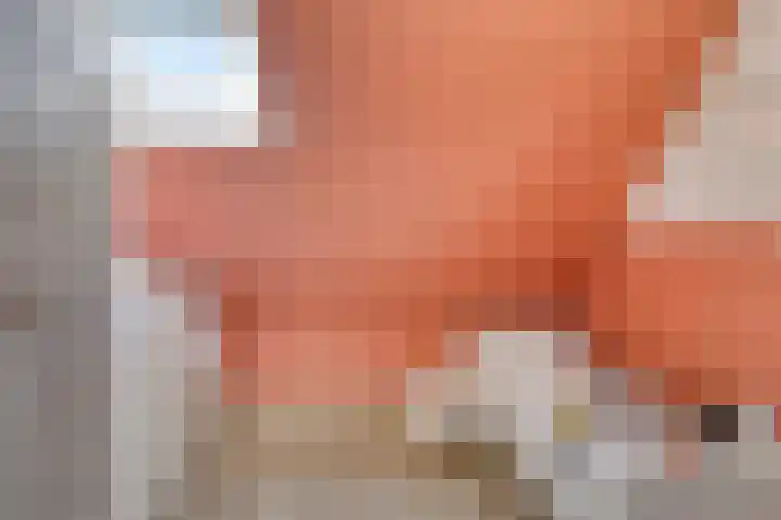 Kerkakkerstraat 7 Rijsbergen thumbnail 27