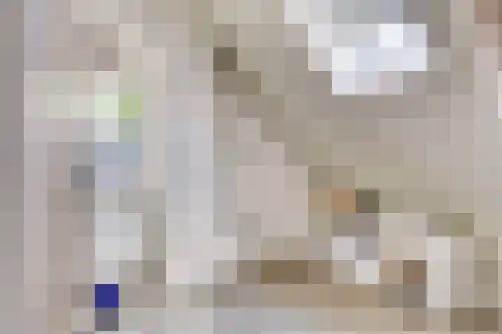 Kerkakkerstraat 7 Rijsbergen thumbnail 28