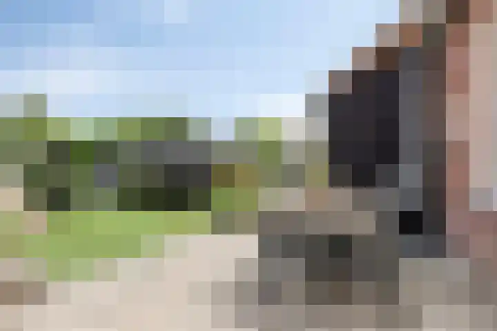 Kerkakkerstraat 7 Rijsbergen thumbnail 34