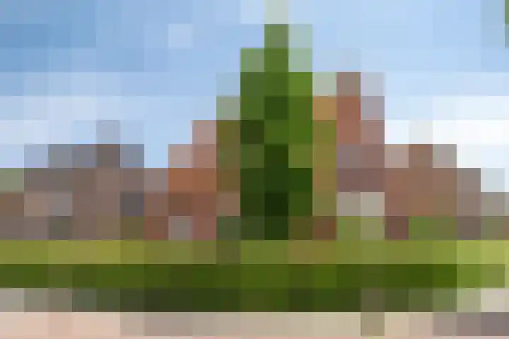 Kerkakkerstraat 7 Rijsbergen thumbnail 38