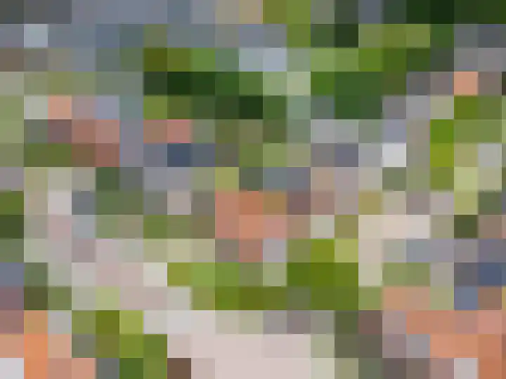 Kerkakkerstraat 7 Rijsbergen thumbnail 42