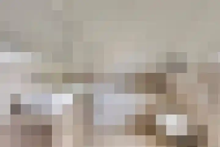 Kerkakkerstraat 7 Rijsbergen thumbnail 5