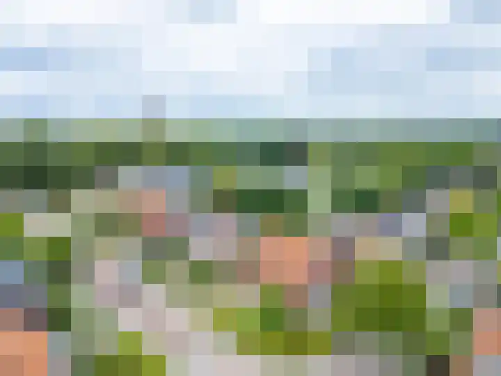 Kerkakkerstraat 7 Rijsbergen thumbnail 7
