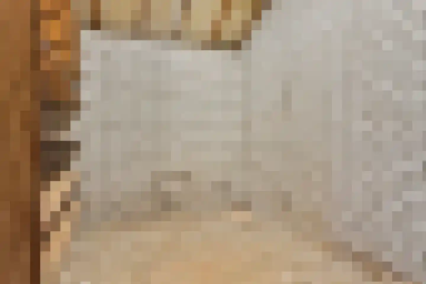 Kerkakkerstraat 8 Valkenswaard thumbnail 33