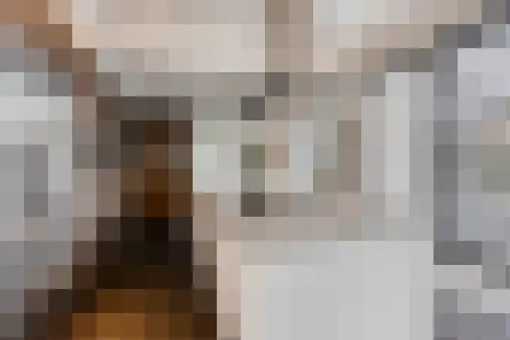 Kerkakkerstraat 9 Valkenswaard thumbnail 16