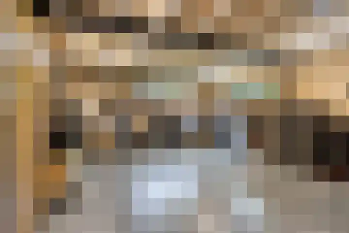 Kerkakkerstraat 9 Valkenswaard thumbnail 31