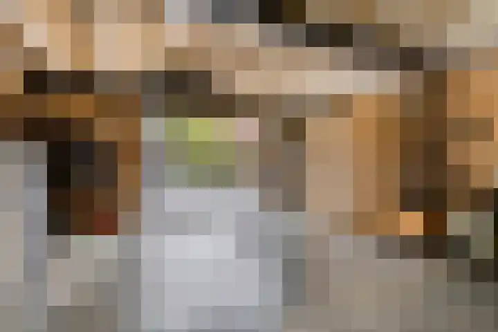 Kerkakkerstraat 9 Valkenswaard thumbnail 33