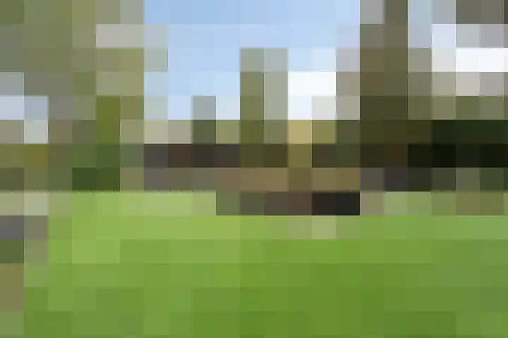 Kerkakkerstraat 9 Valkenswaard thumbnail 37