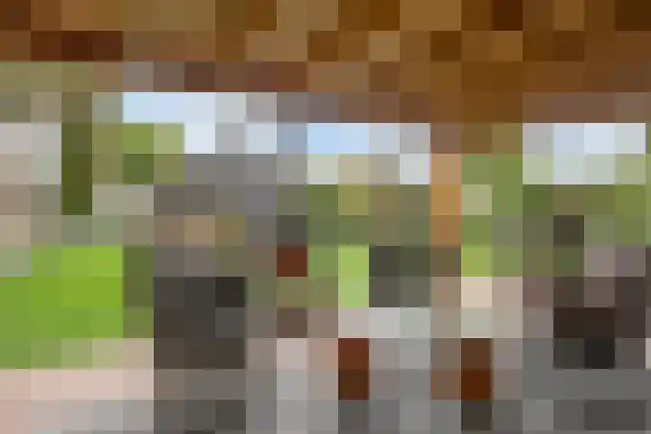 Kerkakkerstraat 9 Valkenswaard thumbnail 41