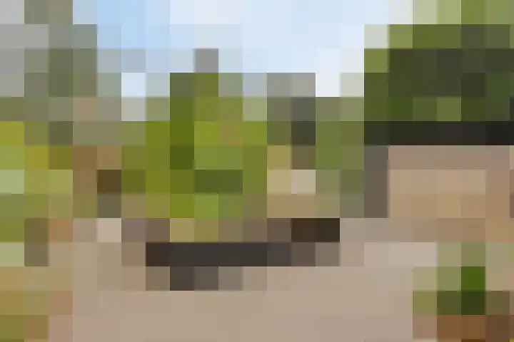 Kerkakkerstraat 9 Valkenswaard thumbnail 42