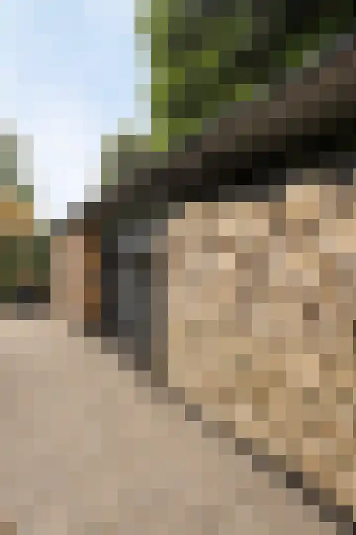 Kerkakkerstraat 9 Valkenswaard thumbnail 43