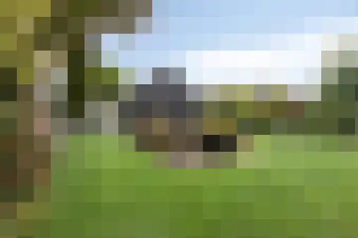Kerkakkerstraat 9 Valkenswaard thumbnail 44
