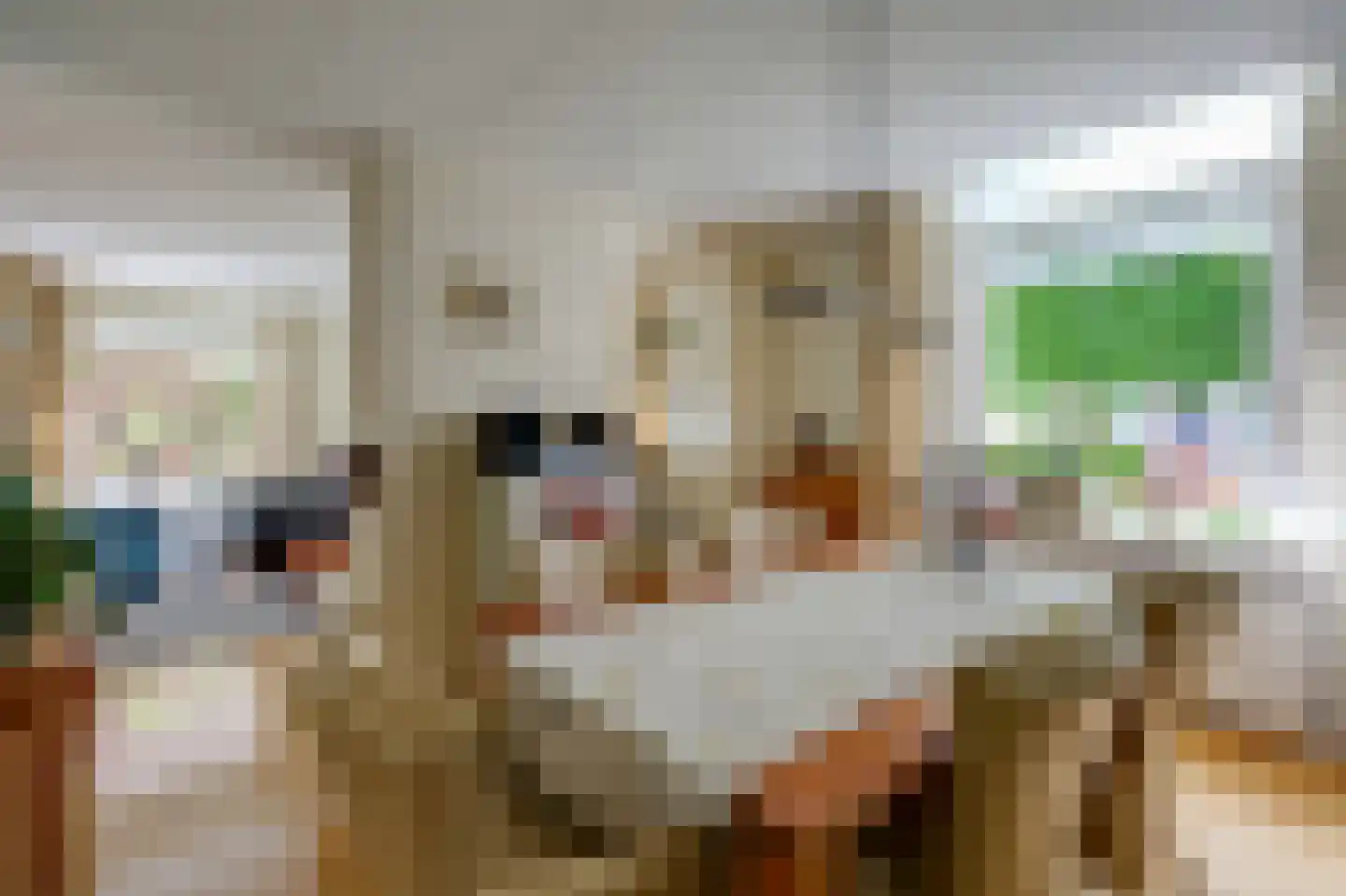 Kerkallee 10 Velp thumbnail 10