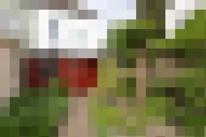 Kerkallee 10 Velp thumbnail 31