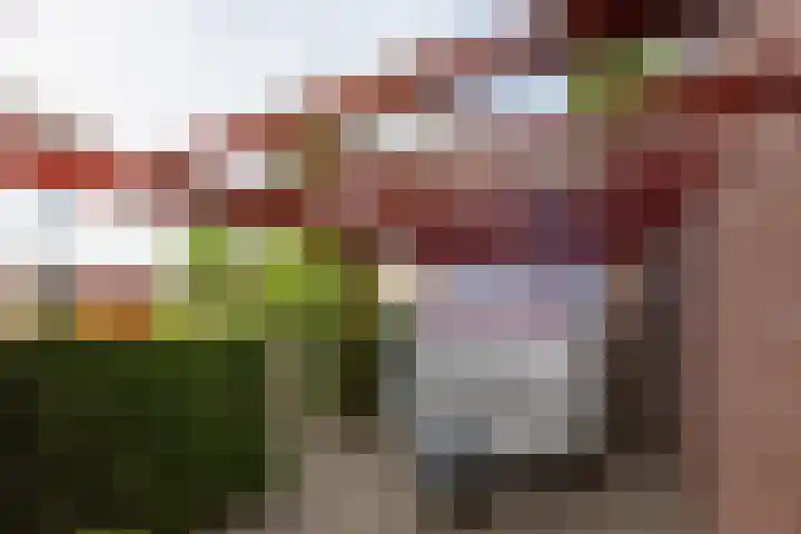 Kerkallee 10 Velp thumbnail 33