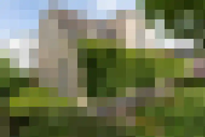 Kerkallee 10 Velp thumbnail 36