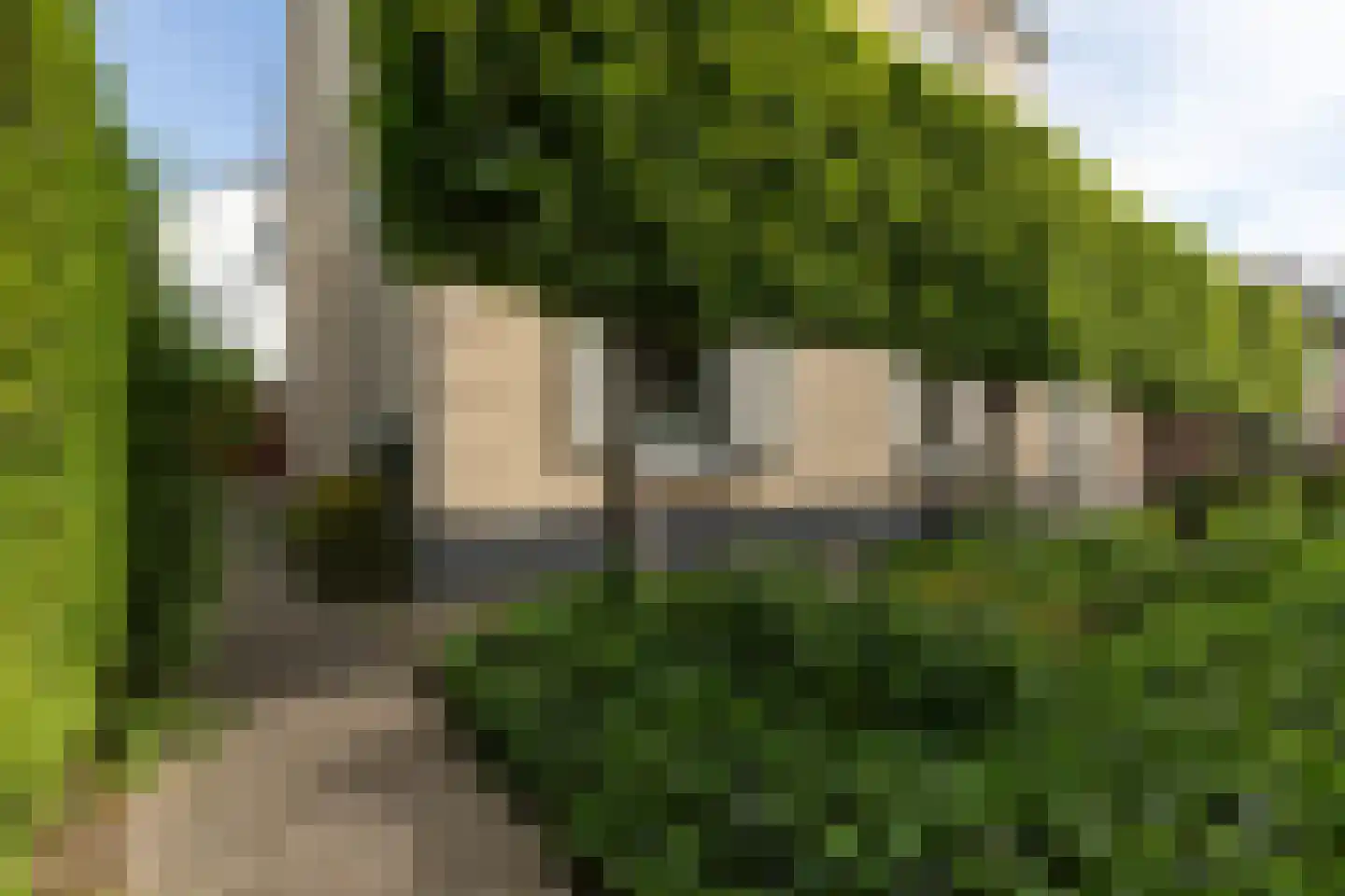 Kerkallee 10 Velp thumbnail 37