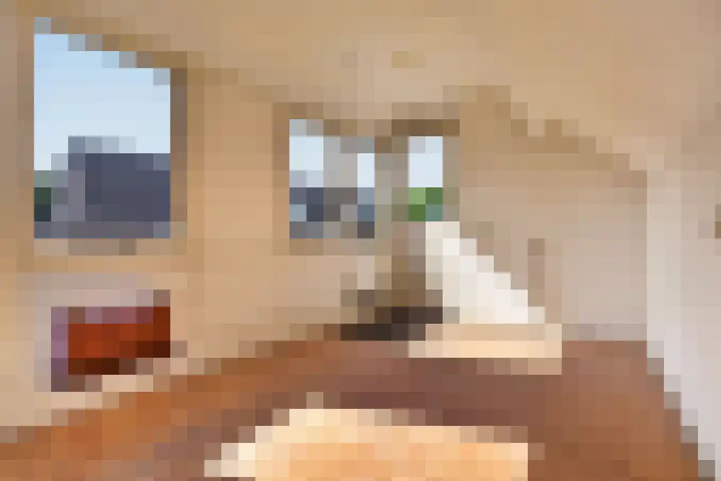Kerkallee 34 Velp thumbnail 20