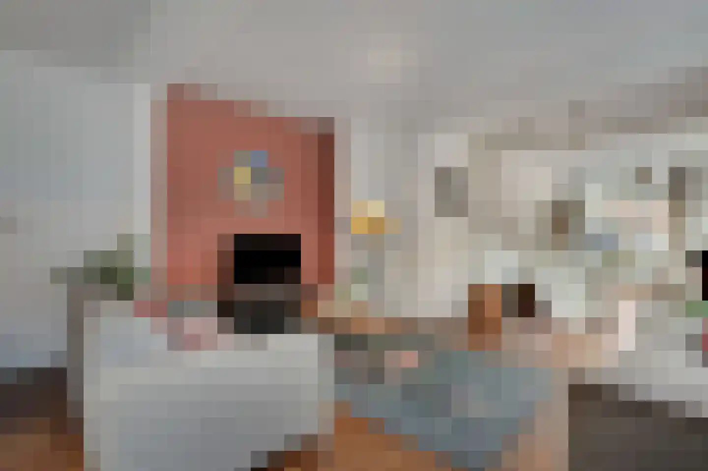 Kerkallee 95 Velp thumbnail 24