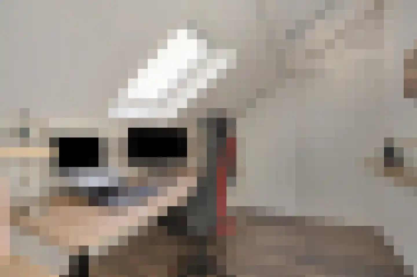 Kerkallee 95 Velp thumbnail 43
