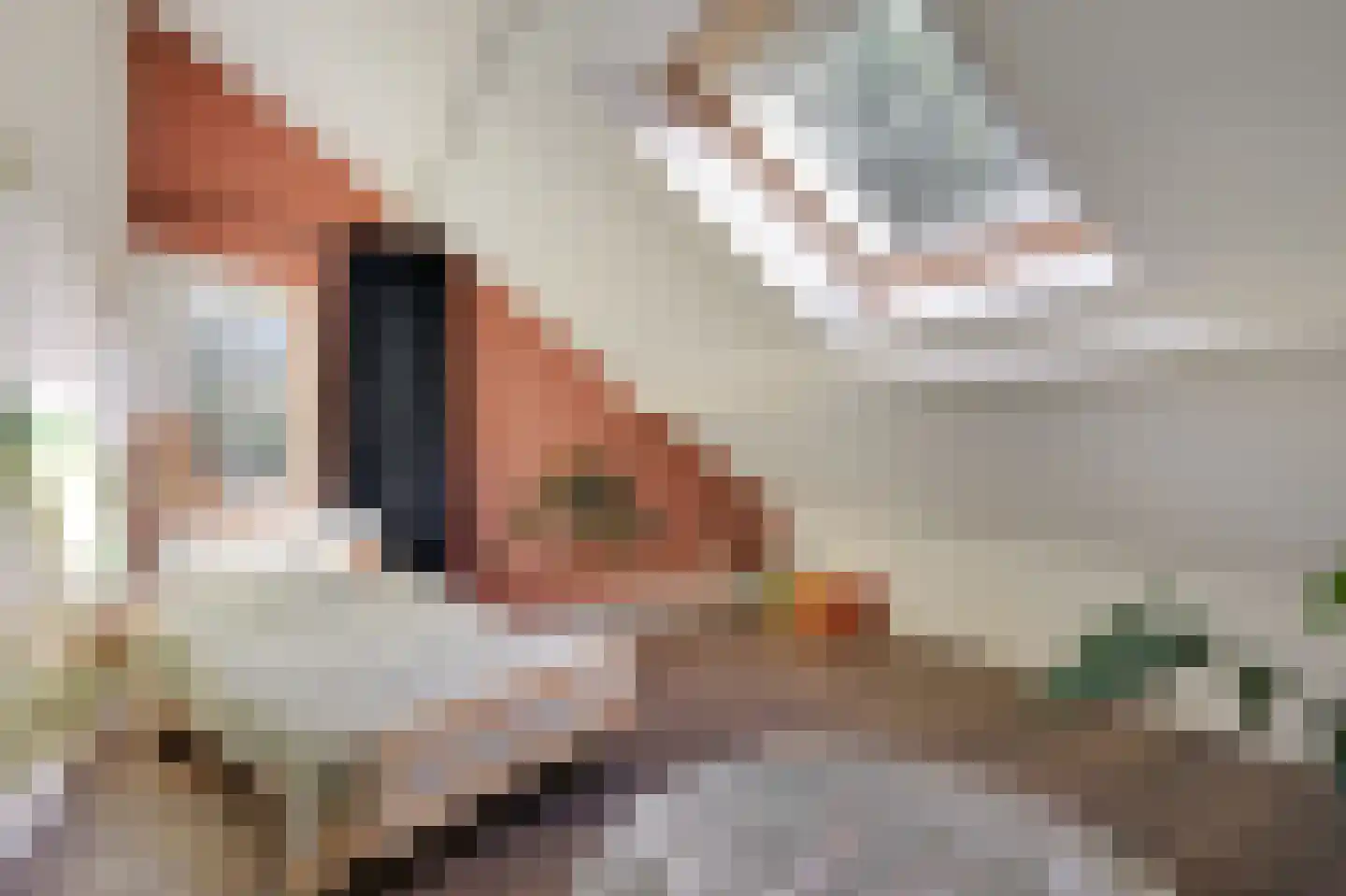 Kerkallee 95 Velp thumbnail 44