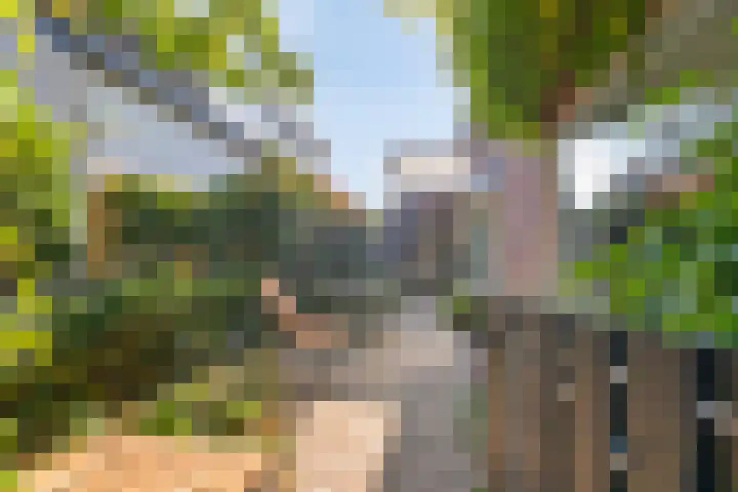 Kerkallee 95 Velp thumbnail 45