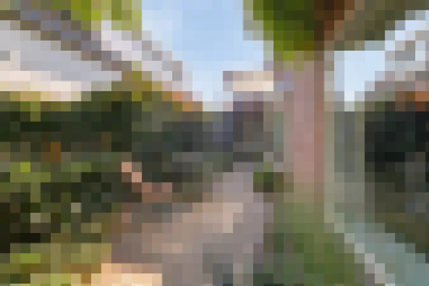 Kerkallee 95 Velp thumbnail 46