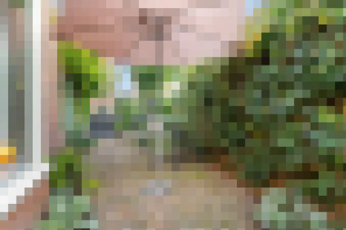 Kerkallee 95 Velp thumbnail 53