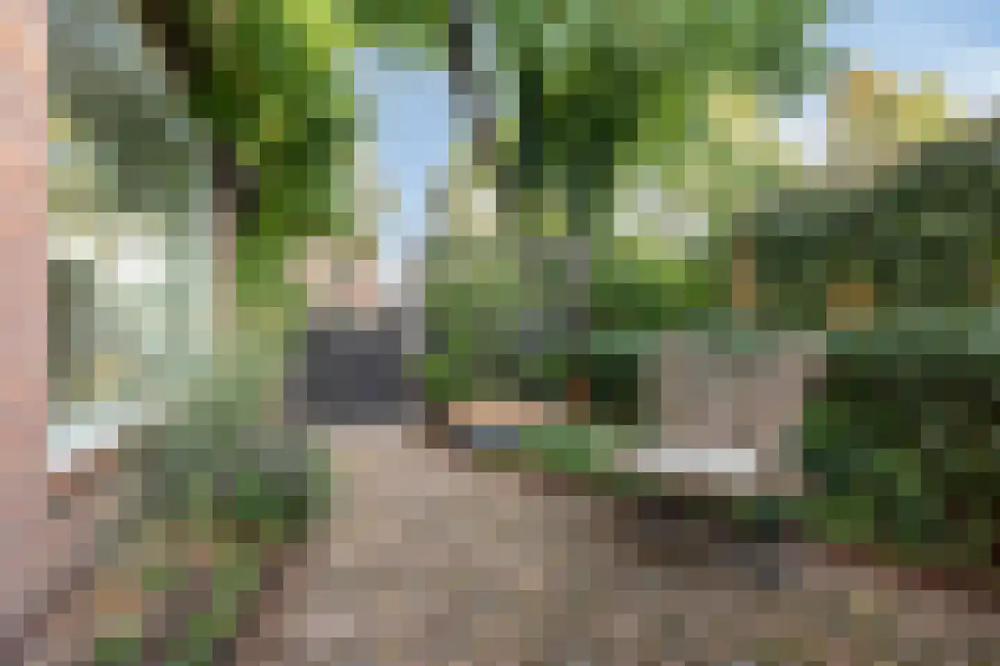Kerkallee 95 Velp thumbnail 54