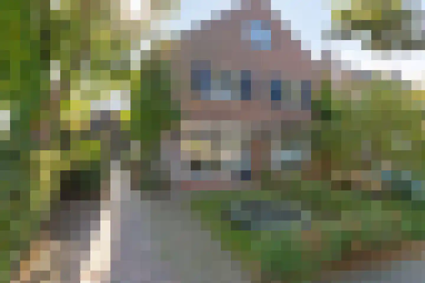 Kerkallee 95 Velp thumbnail 8