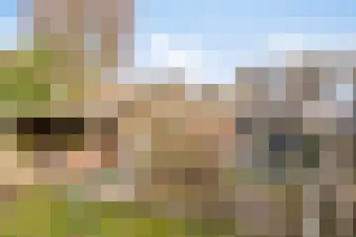 Kerkbeemd 22 Knegsel thumbnail 47