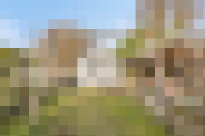 Kerkbeemd 22 Knegsel thumbnail 48