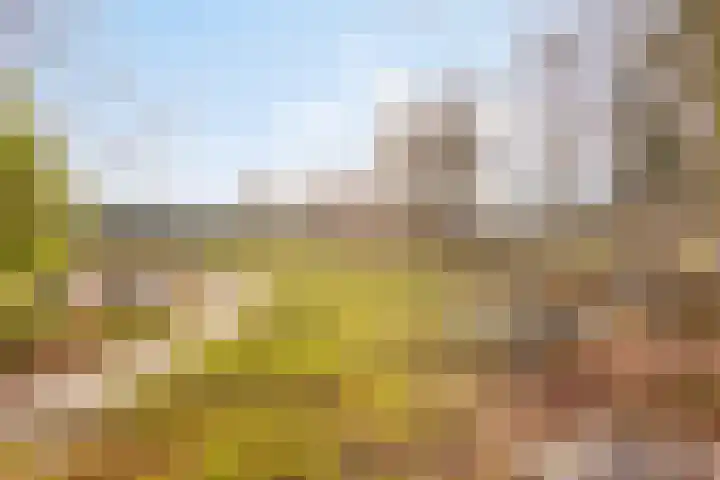Kerkbeemd 22 Knegsel thumbnail 52