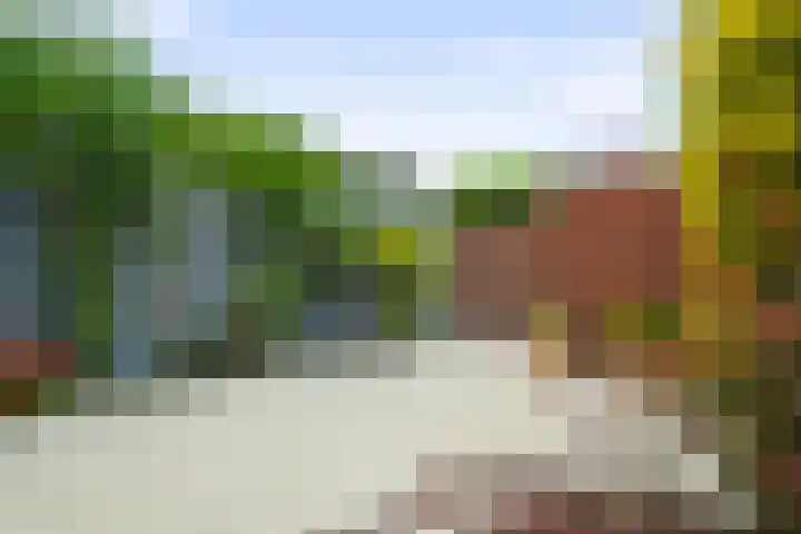 Kerkbollenveld 42 Beverwijk thumbnail 16