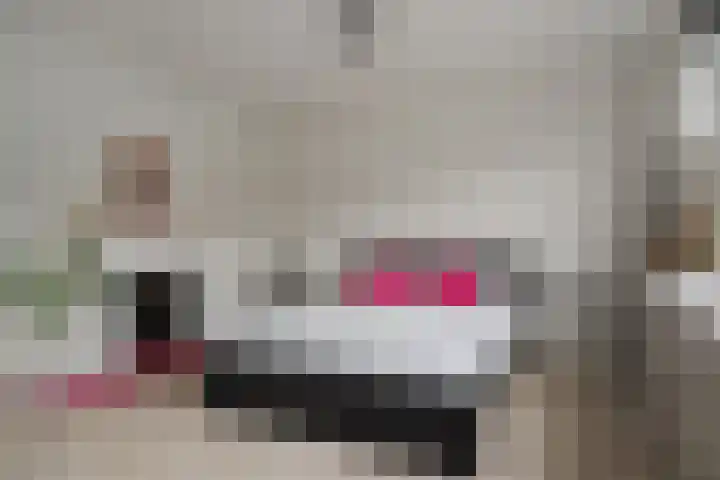 Kerkbollenveld 42 Beverwijk thumbnail 20