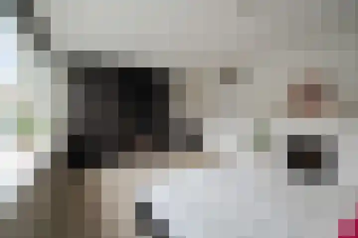 Kerkbollenveld 42 Beverwijk thumbnail 21