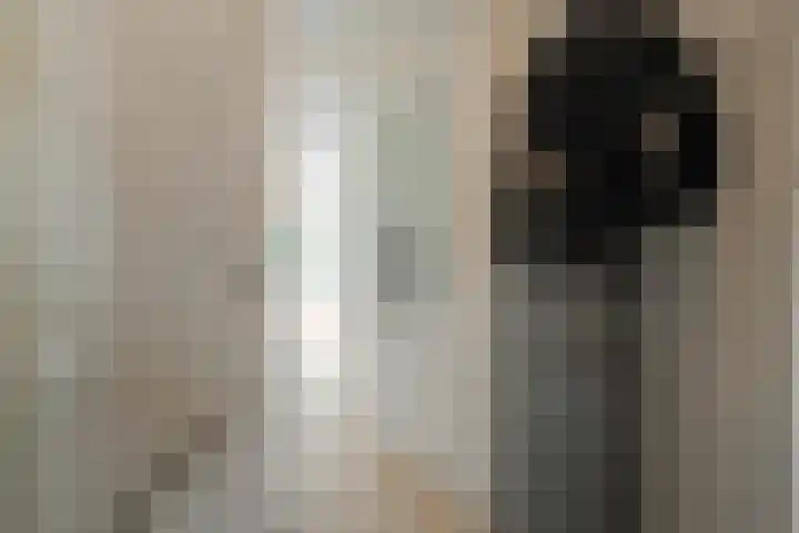 Kerkbollenveld 42 Beverwijk thumbnail 4